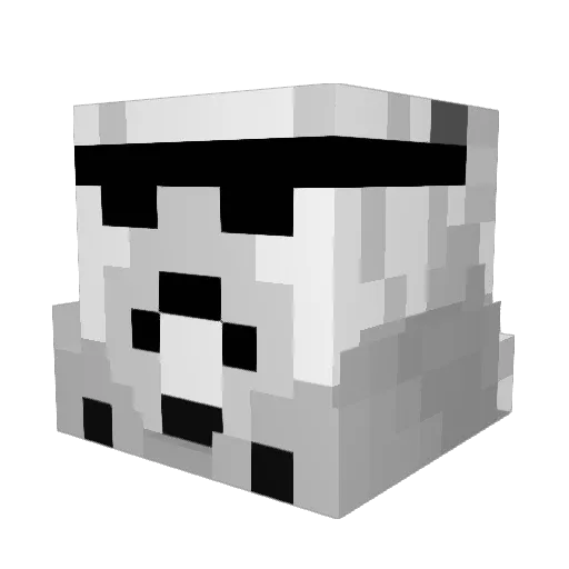 Schmitty59 Minecraft avatar head, 3D render