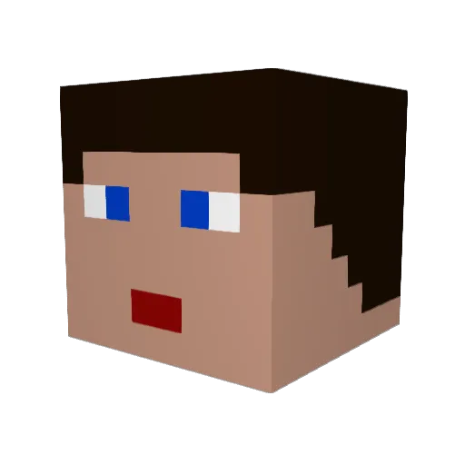 Schmitzii Minecraft avatar head, 3D render