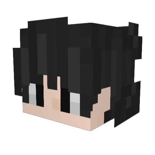 Schmizzy21 Minecraft avatar head, 3D render
