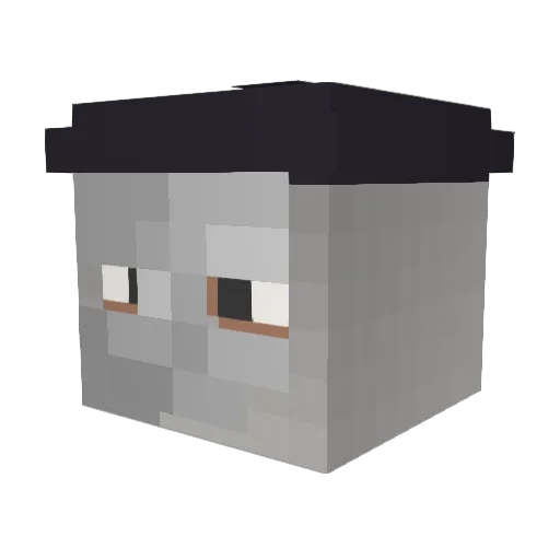 Schmo98 Minecraft avatar head, 3D render