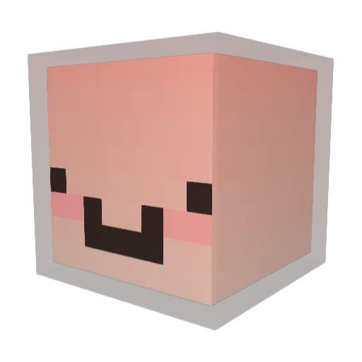 SchmoooN Minecraft avatar head, 3D render