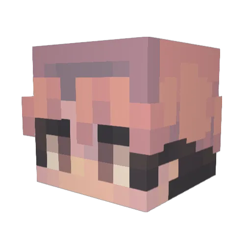 Schmugglepus Minecraft avatar head, 3D render