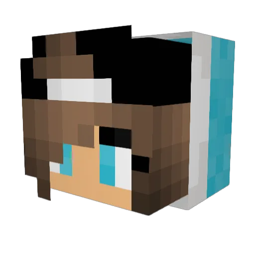 Schmusekatze21 Minecraft avatar head, 3D render
