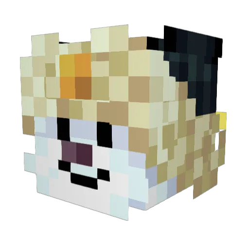 Schmuxy Minecraft avatar head, 3D render