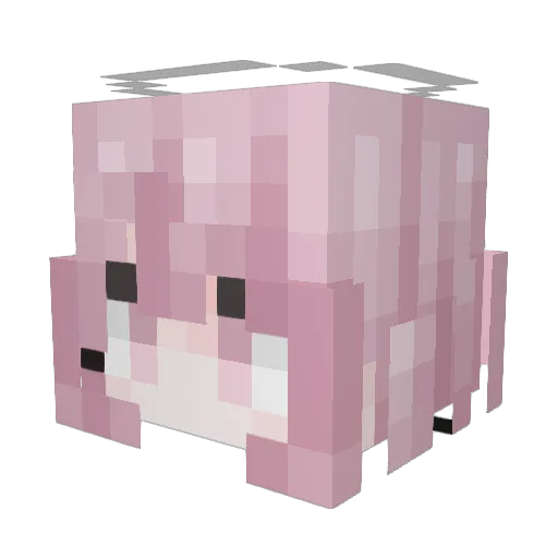 Schn3e Minecraft avatar head, 3D render