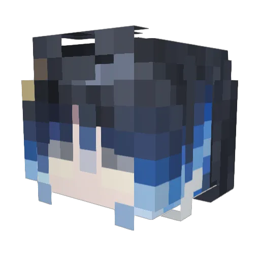 Schnabeltier156 Minecraft avatar head, 3D render