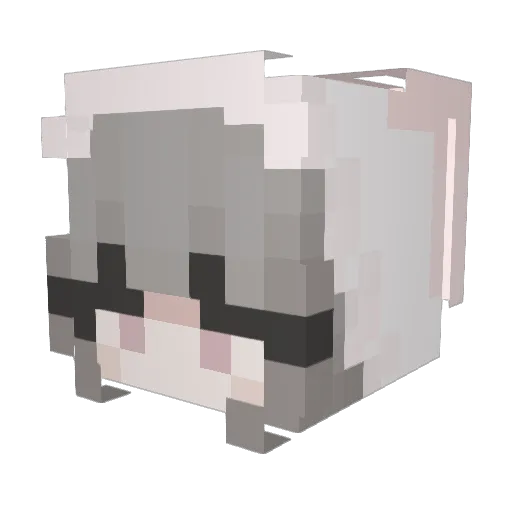 Schnadii Minecraft avatar head, 3D render