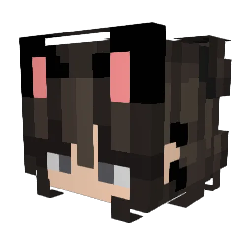 Schnaebbie Minecraft avatar head, 3D render