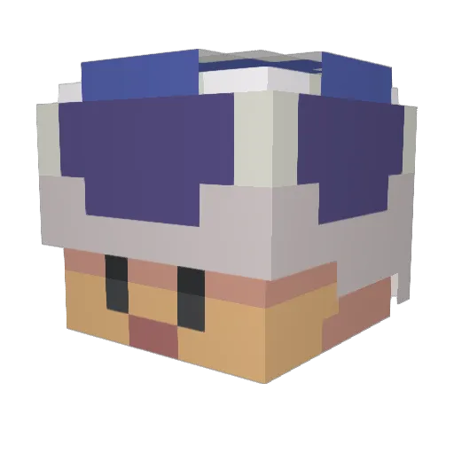 Schnaebii Minecraft avatar head, 3D render