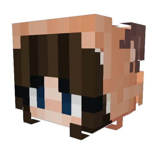 Schnaeky Minecraft avatar head, 3D render