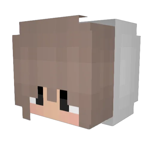 SchnappoooRed Minecraft avatar head, 3D render