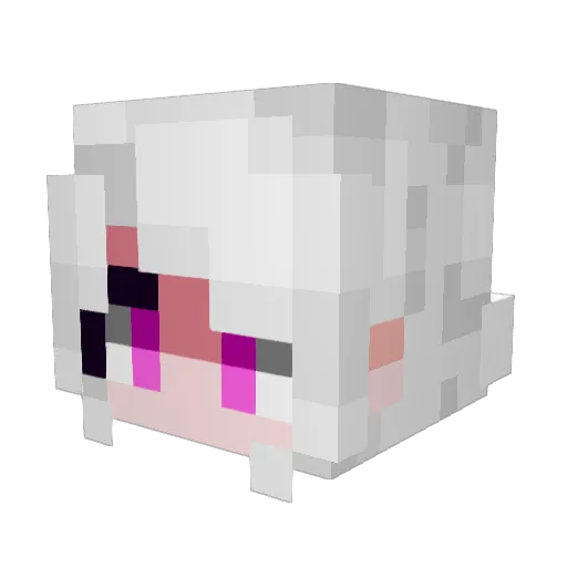 Schnarfer Minecraft avatar head, 3D render