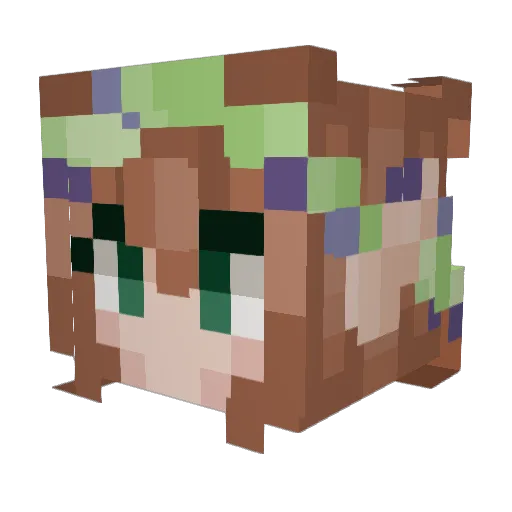 Schnattel0607 Minecraft avatar head, 3D render
