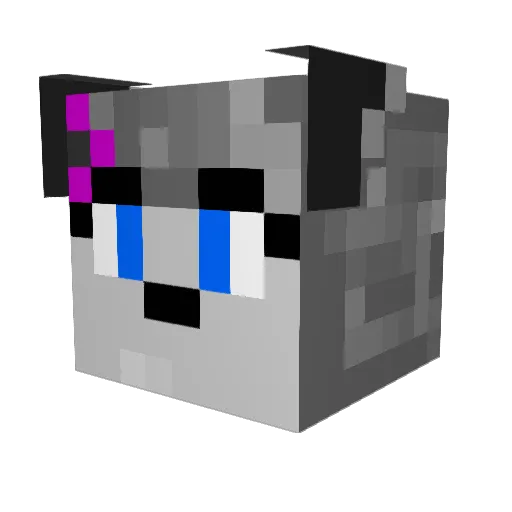 Schnatterinschen Minecraft avatar head, 3D render