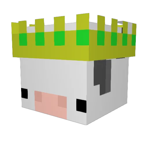 Schnecka Minecraft avatar head, 3D render