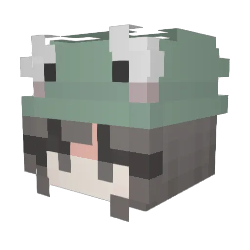 Schnecke13 Minecraft avatar head, 3D render