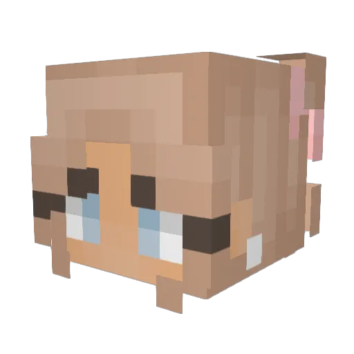 SchneeEule1930 Minecraft avatar head, 3D render