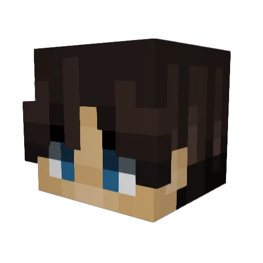 Schnepper Minecraft avatar head, 3D render