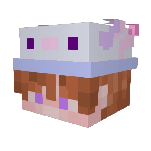 Schnfunsch Minecraft avatar head, 3D render