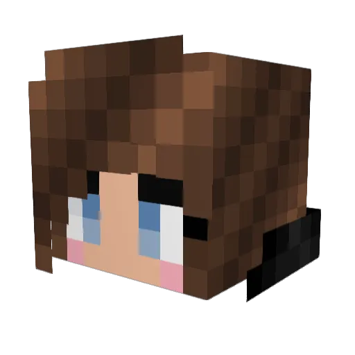 Schnibbs Minecraft avatar head, 3D render