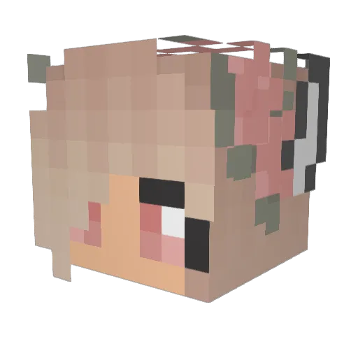 Schnick1MN Minecraft avatar head, 3D render