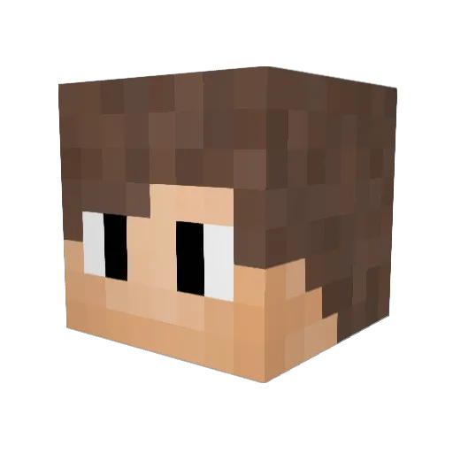Schnicks_ Minecraft avatar head, 3D render