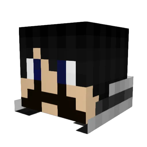 Schnitzel09_ Minecraft avatar head, 3D render