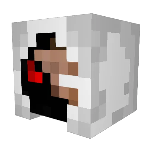 Schnitzel2223 Minecraft avatar head, 3D render
