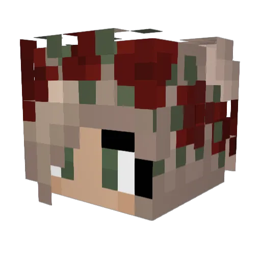 Schnitzel238 Minecraft avatar head, 3D render