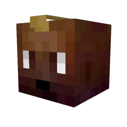 Schnitzel27 Minecraft avatar head, 3D render