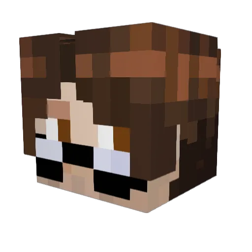 Schnitzel8899 Minecraft avatar head, 3D render