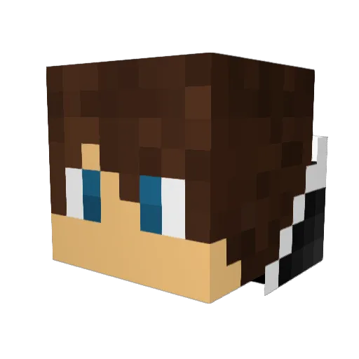 Schnitzel_Vegan Minecraft avatar head, 3D render