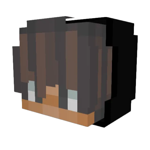 Schnoffelkopter Minecraft avatar head, 3D render