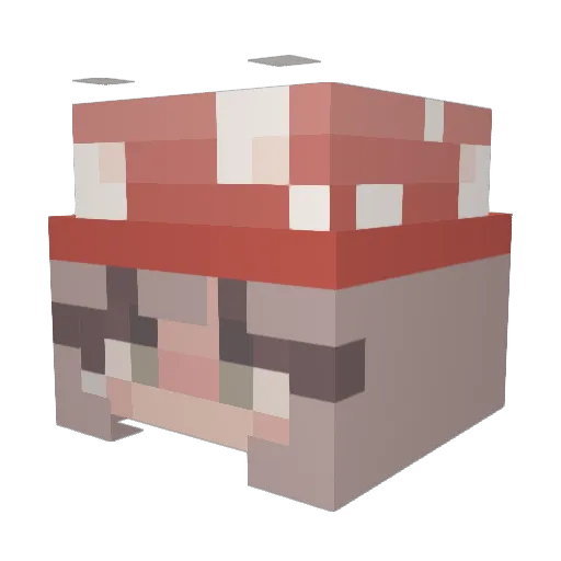 Schnokki Minecraft avatar head, 3D render