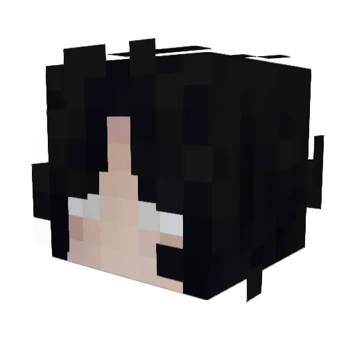 Schnoms Minecraft avatar head, 3D render