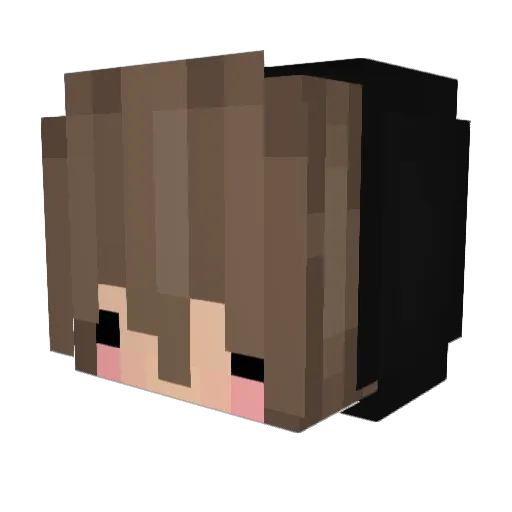 Schnuggiii Minecraft avatar head, 3D render