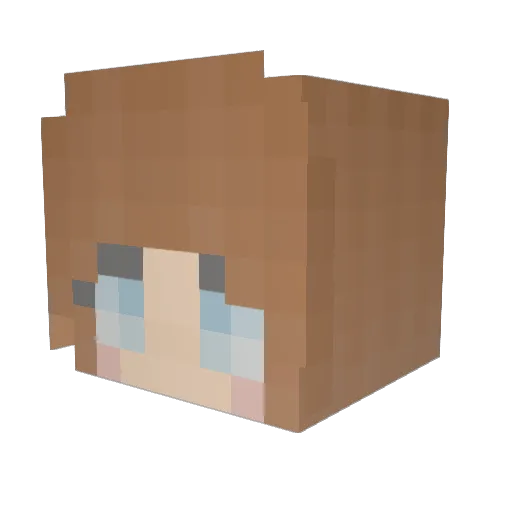 Schnulle20 Minecraft avatar head, 3D render