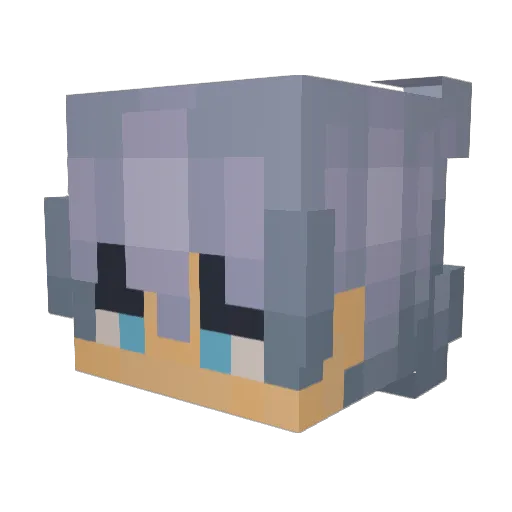 Schnullerbacke21 Minecraft avatar head, 3D render