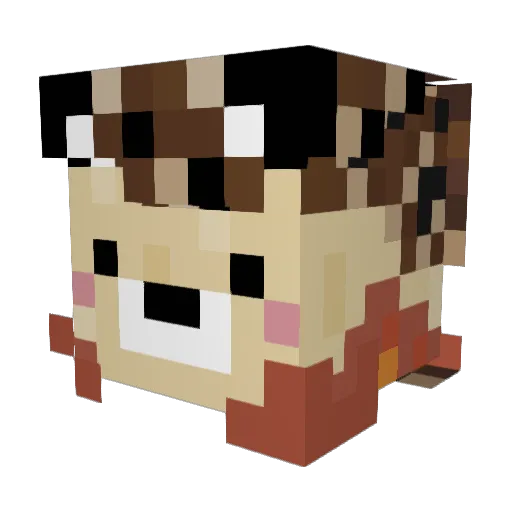 Schnulli2309 Minecraft avatar head, 3D render