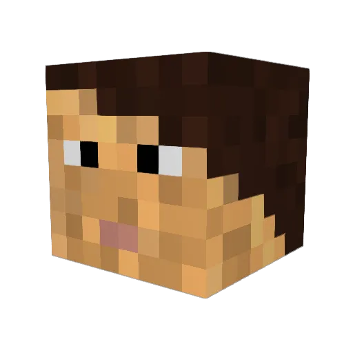 Schnuuuuuu Minecraft avatar head, 3D render