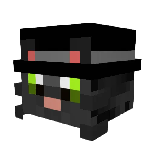 Schnuwii Minecraft avatar head, 3D render