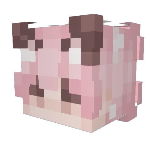 SchochDocter Minecraft avatar head, 3D render