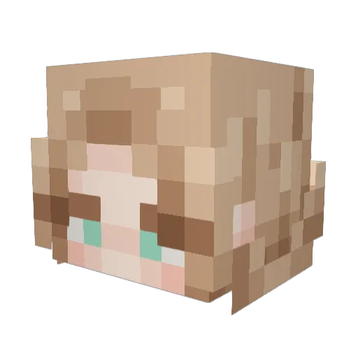 SchockgamerXD Minecraft avatar head, 3D render