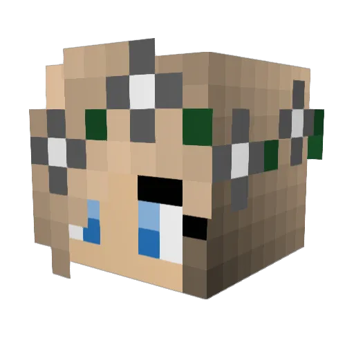 Schofseckel Minecraft avatar head, 3D render