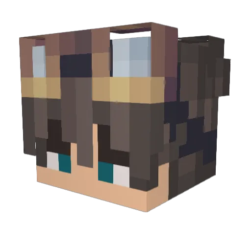SchoganHD Minecraft avatar head, 3D render