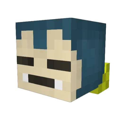 Schoisi_6688 Minecraft avatar head, 3D render