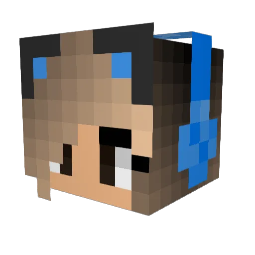 Schoki_wrecker Minecraft avatar head, 3D render