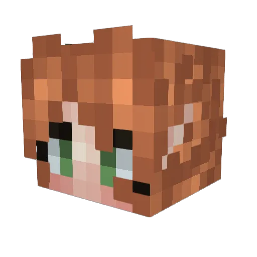 Schoko2004 Minecraft avatar head, 3D render