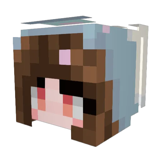 Schokoladeeeee Minecraft avatar head, 3D render