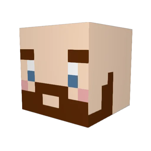 Schokostau Minecraft avatar head, 3D render